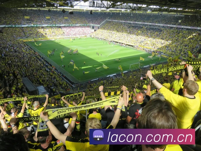 开云官网服务体系